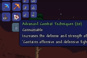 テラリア_Advanced-Combat-Techniques_攻略_04-min